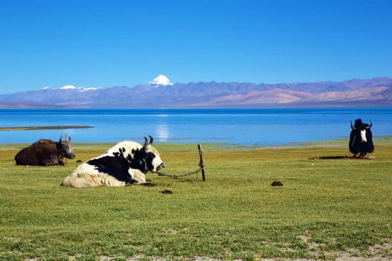 11-Day Ngari Discovery Tibet Tour: Kailash, Lake Manasarovar, Lhasa, Everest, Yamdrok Lake & More