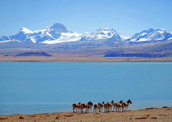佩枯错Peikutso Lake