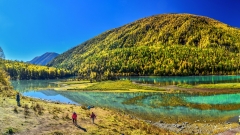 What to See on a Classic Northern Xinjiang Loop: Best Stops and Travel Tips