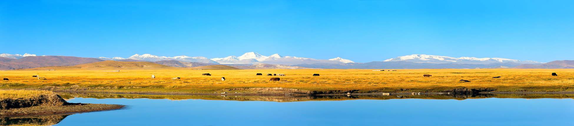 China Dragon Travel 3