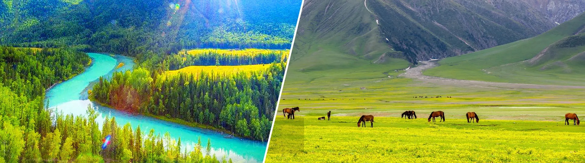 Xinjiang Travel Guides