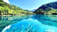 What to Know Before Visiting Jiuzhaigou National Park
