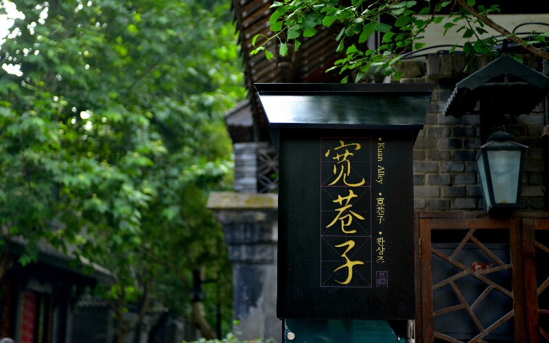 2-Day Chengdu Panda & Food Tour: Panda Base, Jinsha Museum & More
