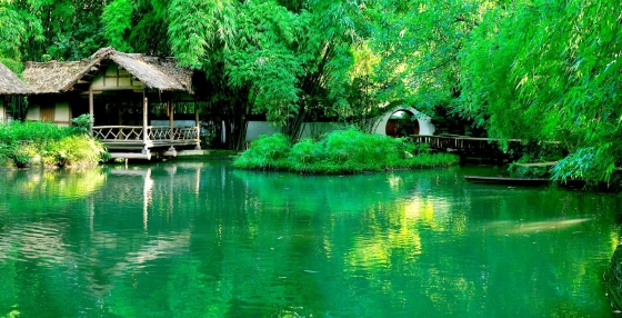 Chengdu Travel Guide: Top Attractions You Must Visit