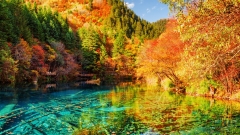 Jiuzhaigou Best Time to Visit: China’s Enchanting Alpine Wonderland