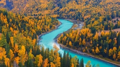 Golden Autumn in Kanas and Hemu: A Complete Travel Guide