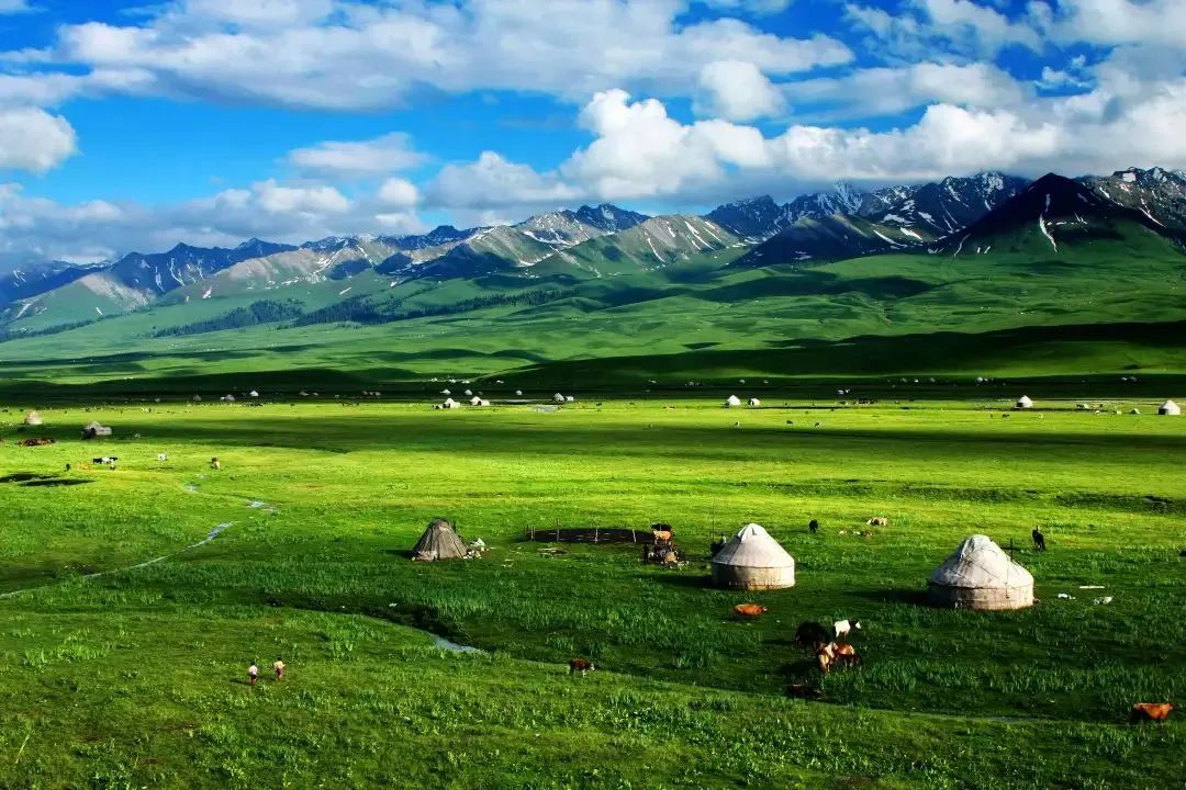 nalati grassland