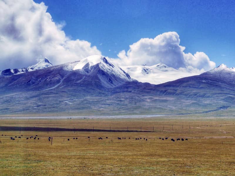 PIC25 Mount Nyainqentanglha