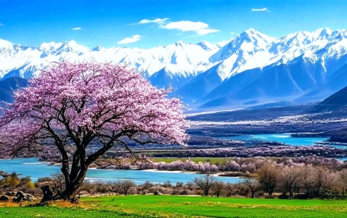 Tibet Weather in April: Is April a Good Time to Visit?
