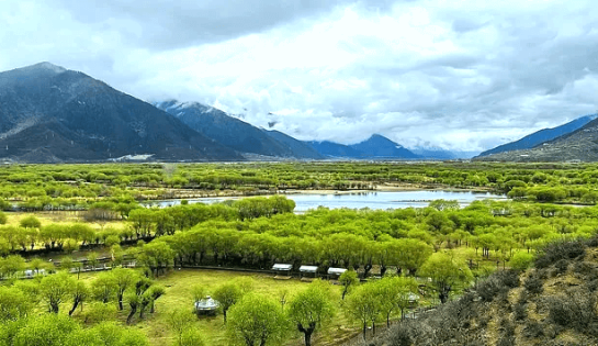 Nyingchi 