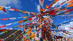 Tibet Weather in May: One of the Best Months to Travel