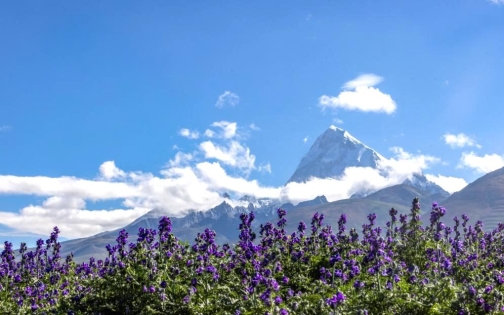 Best Places to Visit in Tibet During Spring in 2026