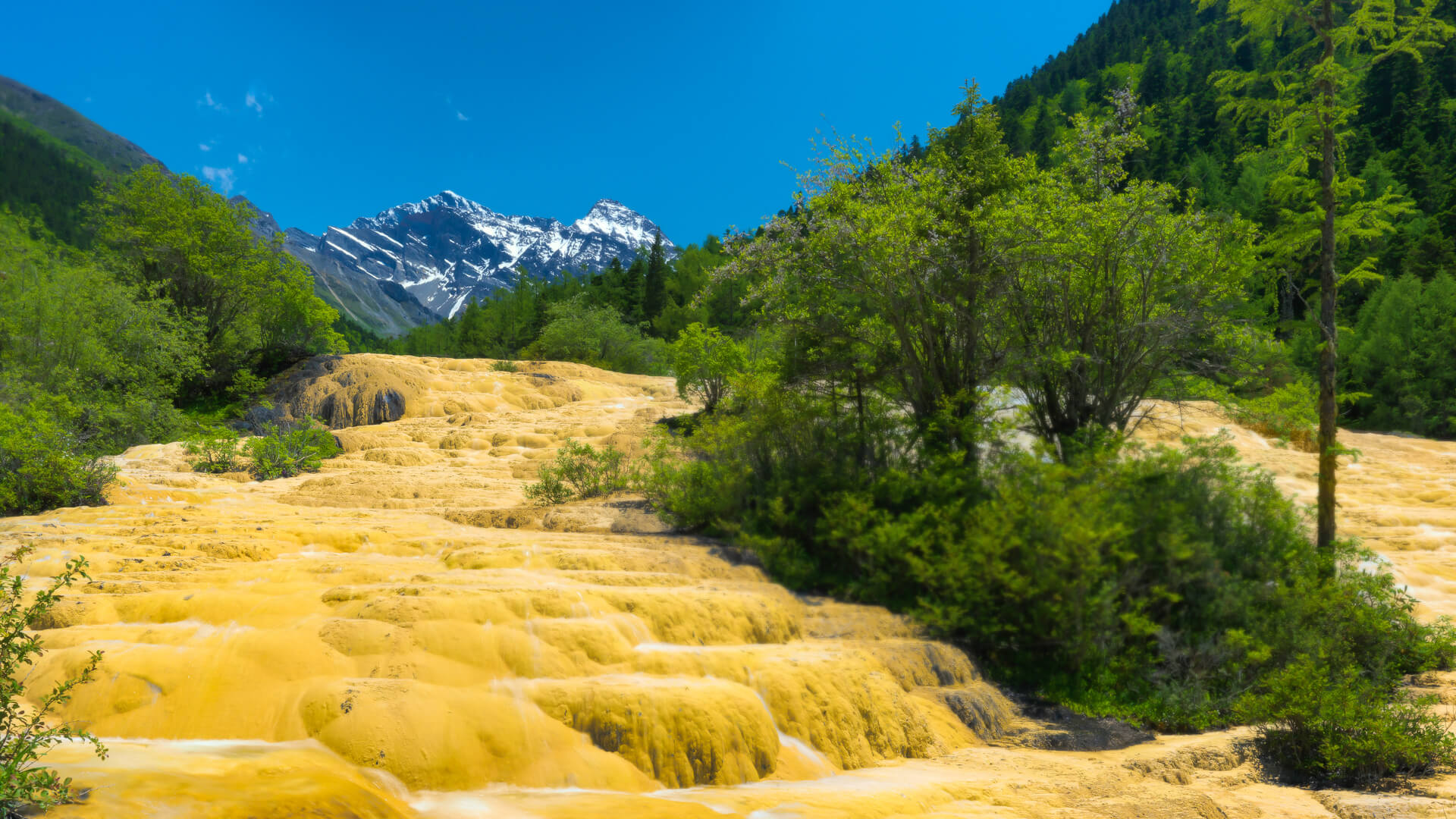 6-Day Western Sichuan Tour: Chengdu, Jiuzhaigou, Dujiangyan, Mount Siguniang, Huanglong
