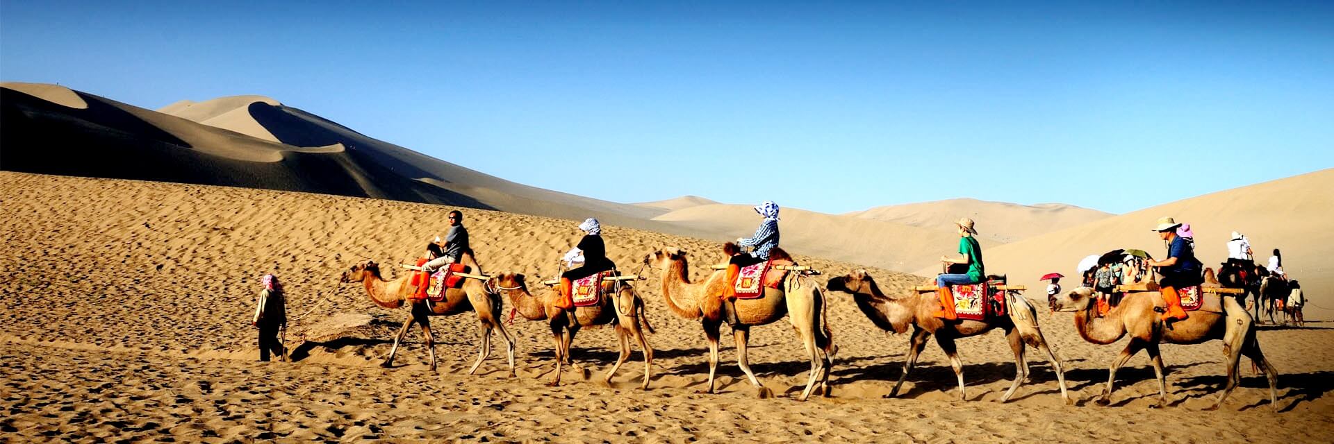 Silk Road Tours