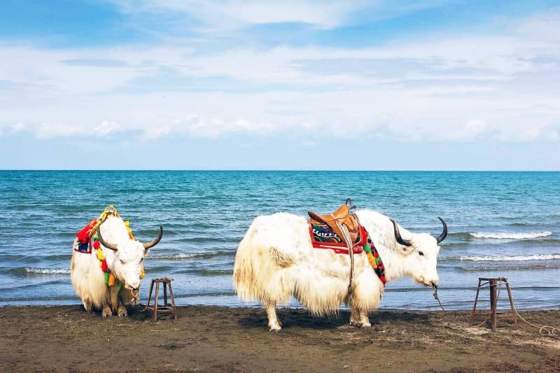 10-Day Silk Road Tour: Dunhuang, Mogao Caves, Urumqi & More