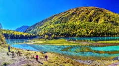 13-Day Northern Xinjiang Panorama Tour: Urumqi, Urho, Kanas, Tekes, Sailimu Lake & More