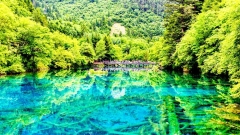 How Much Does a Trip to Jiuzhaigou Cost?