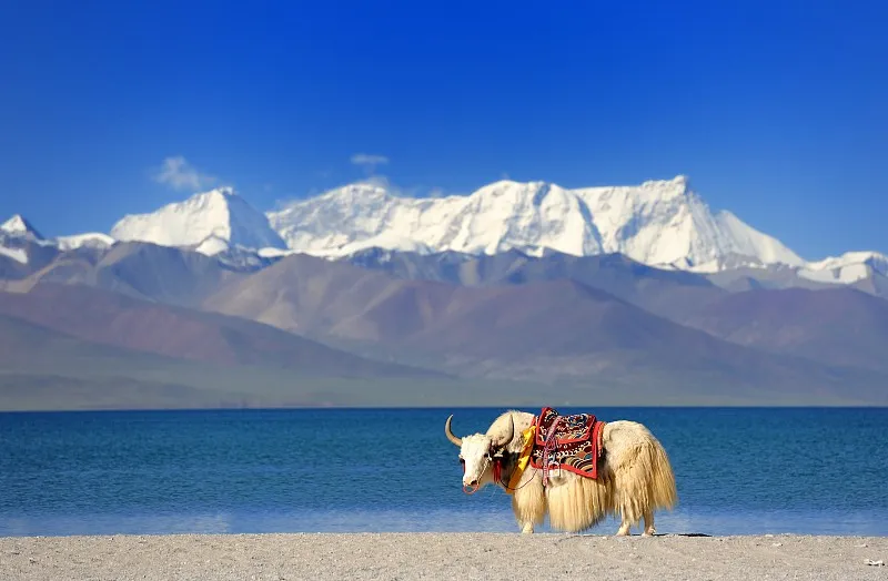 Tibet Weather in September: A Tranquil Time to Travel in Tibet