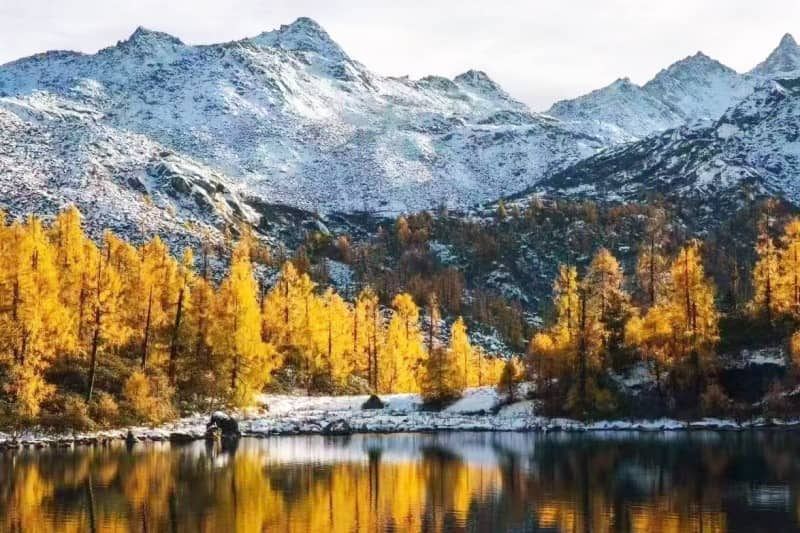 13-Day Autumn Exclusive Deluxe Tibet Tour via Flights and Trains: Ranwu Lake, Everest, Lhasa, Nyingchi, Bomi & More