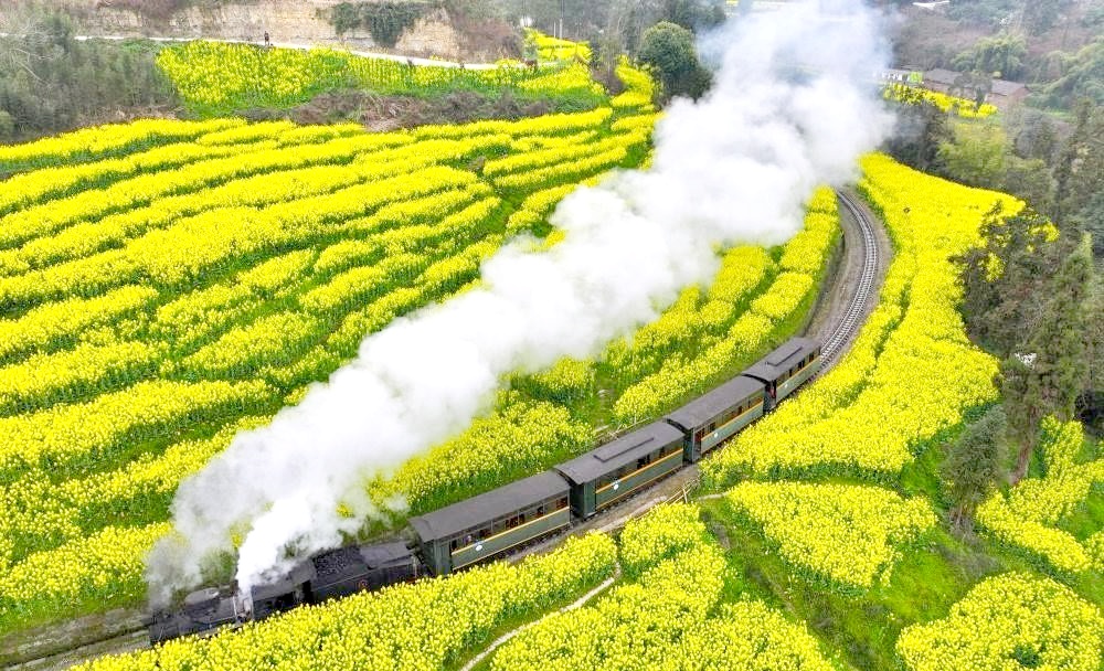 9-Day Sichuan Spring Tour with Flowers Appreciation