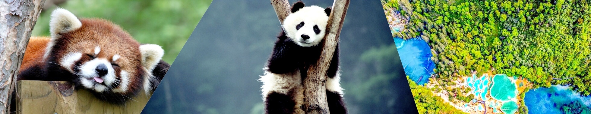 Sichuan Travel Guides