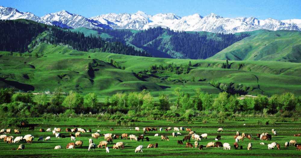 16-Day Xinjiang Panorama Tour: Urumqi, Heavenly Lake, Altay, Nalati, Tashkurgan, Kashgar & More