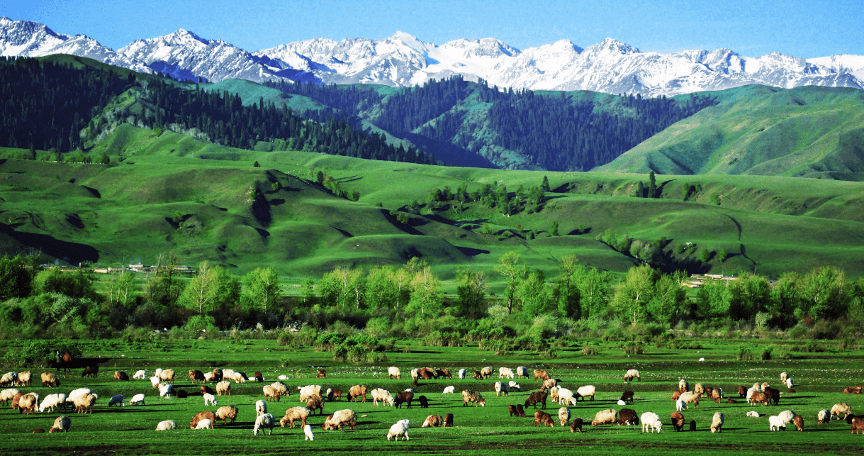 16-Day Xinjiang Panorama Tour: Urumqi, Heavenly Lake, Altay, Nalati, Tashkurgan, Kashgar & More