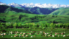 16-Day Xinjiang Panorama Tour: Urumqi, Heavenly Lake, Altay, Nalati, Tashkurgan, Kashgar & More