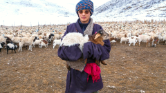 Tibet Weather in April: Is April a Good Time to Visit?