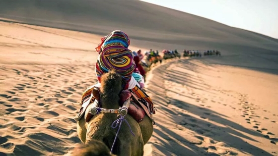 Xinjiang Silk Road Travel FAQ: Plan Your Perfect China Itinerary