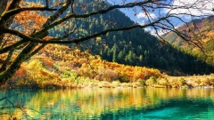 Explore the Best of Sichuan: Where Natural Wonders Meet Cultural Treasures