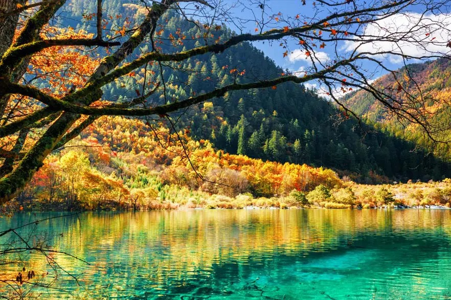 6-Day Western Sichuan Tour: Chengdu, Jiuzhaigou, Dujiangyan, Mount Siguniang, Huanglong