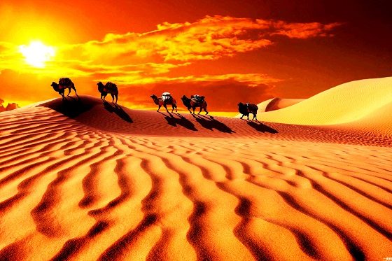 Silk Road Tours