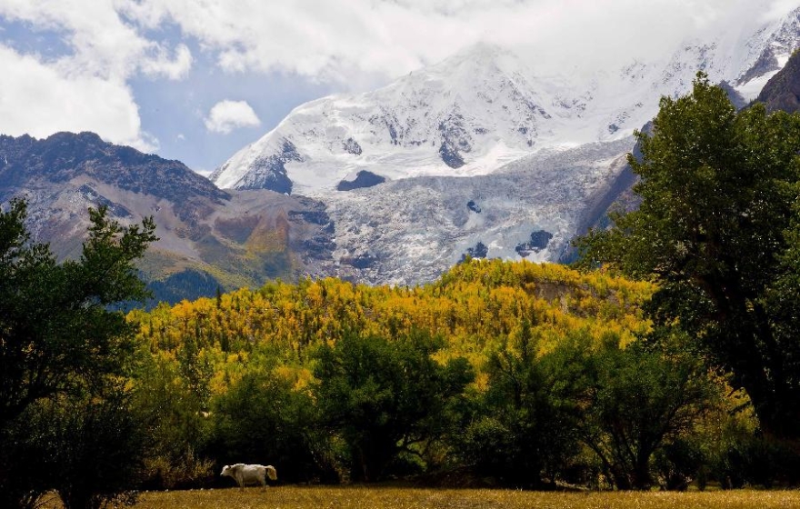 10-Day Autumn Exclusive Tibet Tour via Flights and Trains: Ranwu Lake, Lhasa, Nyingchi, Bomi & More