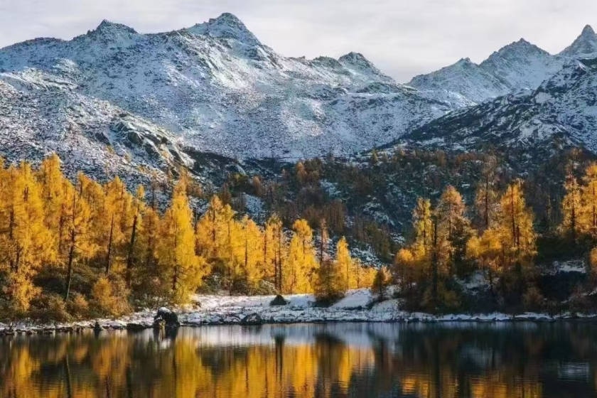 10-Day Autumn Exclusive Tibet Tour via Flights and Trains: Ranwu Lake, Lhasa, Nyingchi, Bomi & More