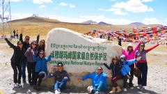 11-Day Classic Panorama Tibet Tour: Lhasa, Everest, Nyingchi & More