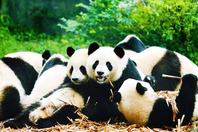 All-Inclusive: 9-Day KL/SG – Tibet & Chengdu Tour