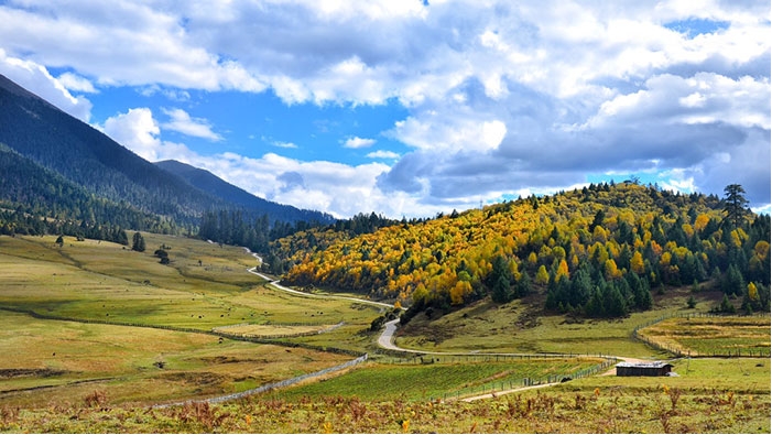 Peach Blossom Viewing & Epic 10-Day Tibet Tour: Lhasa, Nyingchi, Majestic Mount Everest & Scenic Ngari Railway Ride