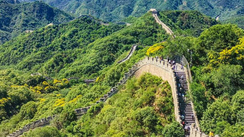 8-Day Classic China Tour: Beijing, Xian & Shanghai Highlights