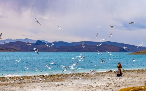 The Secret of Yamdrok Lake’s Changing Colors