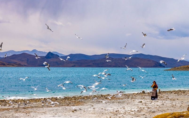 16-Day Tibet Photography Tour: Lhasa, Yamdrok, Everest & Kailash