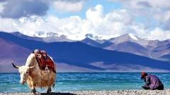 Namtso Lake, Lhasa Tibet Travel Guide: Altitude, Tips & Itineraries