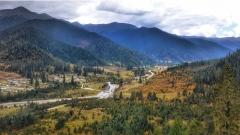 Lulang Forest Travel Guide: Where to See Tibet’s Green Side