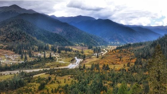 Lulang Forest Travel Guide: Where to See Tibet’s Green Side