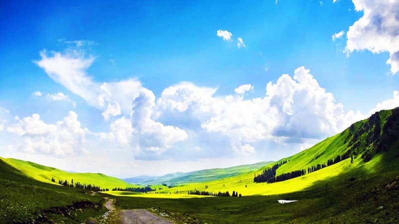 xinjiang
