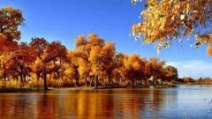 Xinjiang Travel Guide for Malaysians: Permits, Flights & Itineraries