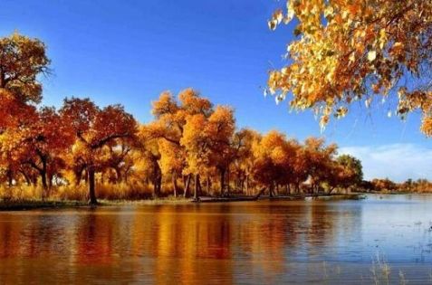 Xinjiang Travel Guide for Malaysians: Permits, Flights & Itineraries