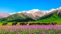 Will There be Altitude Sickness When Traveling to Xinjiang?