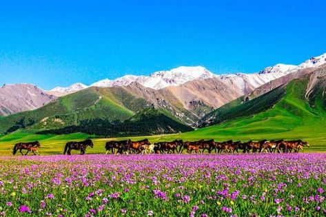 Will There be Altitude Sickness When Traveling to Xinjiang?