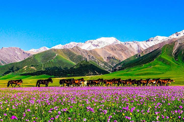 Xinjiang Scenery
